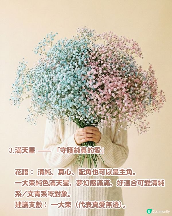 ✨情人節不踩雷送花攻略🌸🤍 | 花語/數量/禁忌一文睇曬！玫瑰花外5大高質感小眾花推介💖