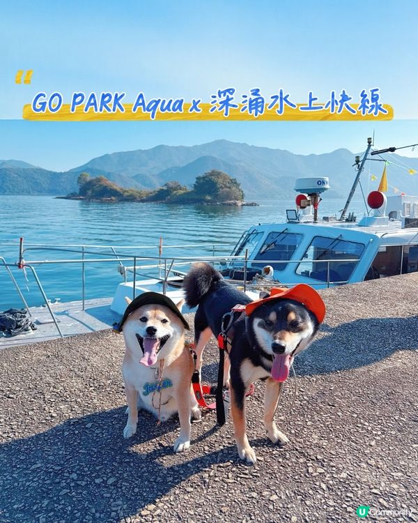 🩵 GO PARK Aqua x 深涌水上快線體驗記 🛥️
