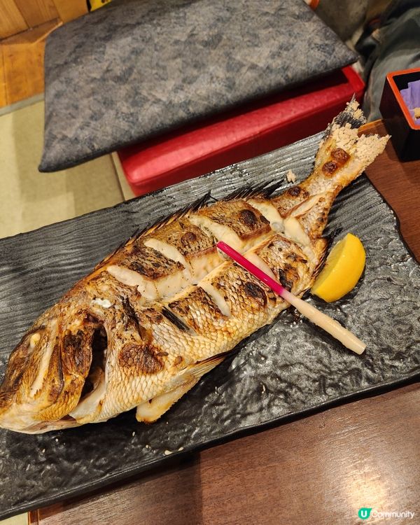 日本釣魚屋體驗！🎣🐟