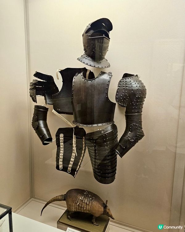 『英國』劍橋博物館免費參觀🏛️可結合各學院之散步路線