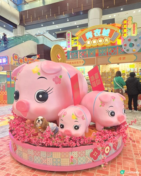 青衣懷舊打卡市集🐷🤖