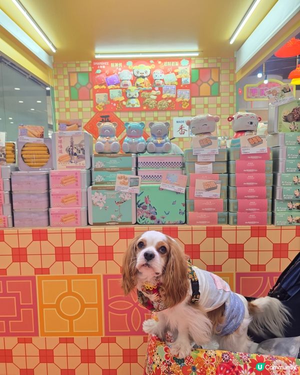 青衣懷舊打卡市集🐷🤖