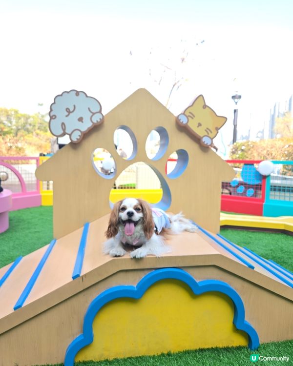 青衣懷舊打卡市集🐷🤖