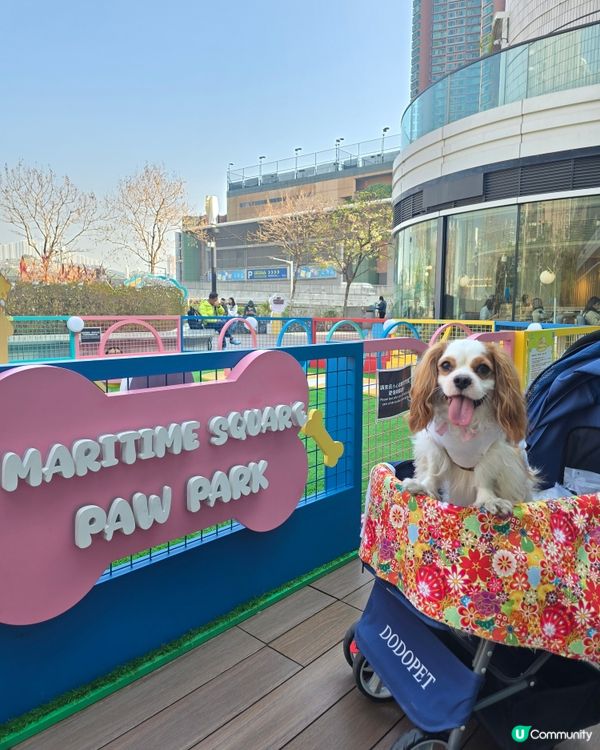 青衣懷舊打卡市集🐷🤖