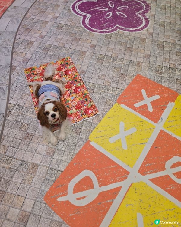 青衣懷舊打卡市集🐷🤖