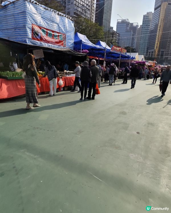 2026期間限定維園年宵