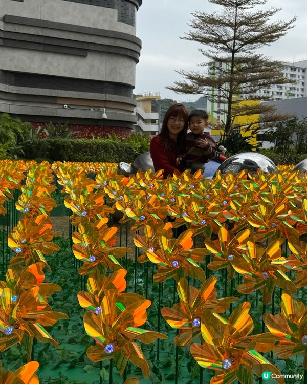 大圍生活節2026行運一條龍🐉放電⚡