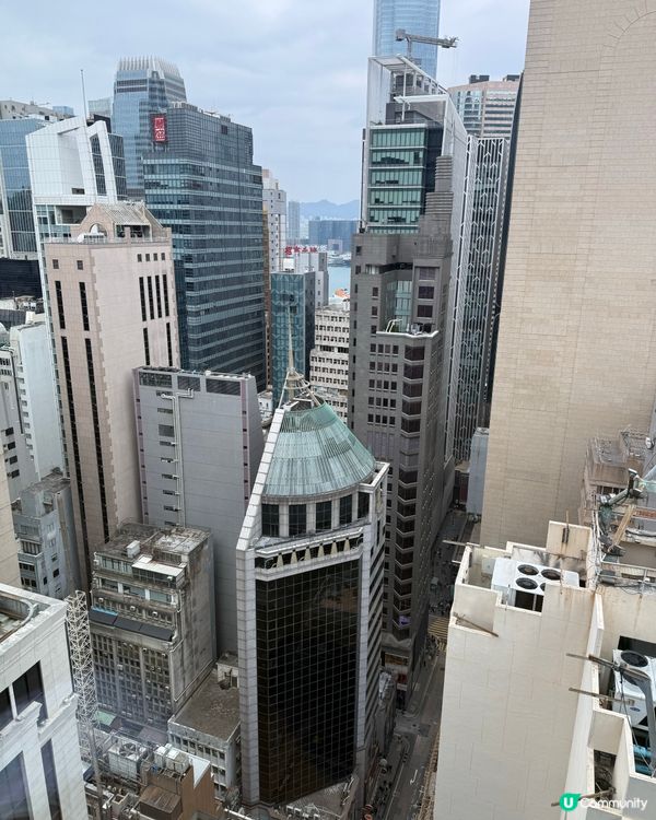 蘭桂坊宵夜必吃！狗仔粉🤤🔥