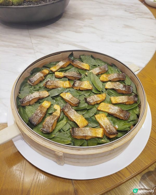 《環迴深圳》 X 團年飯系列 X 特色黃魚宴 @ 中洲萬豪中菜廳 ( 深圳中洲萬豪酒店 )