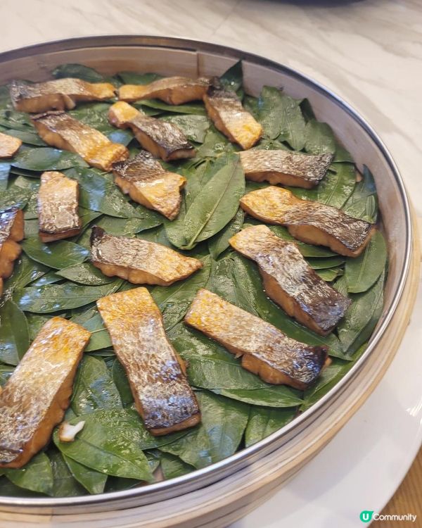 《環迴深圳》 X 團年飯系列 X 特色黃魚宴 @ 中洲萬豪中菜廳 ( 深圳中洲萬豪酒店 )