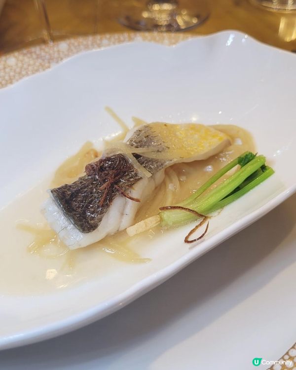 《環迴深圳》 X 團年飯系列 X 特色黃魚宴 @ 中洲萬豪中菜廳 ( 深圳中洲萬豪酒店 )