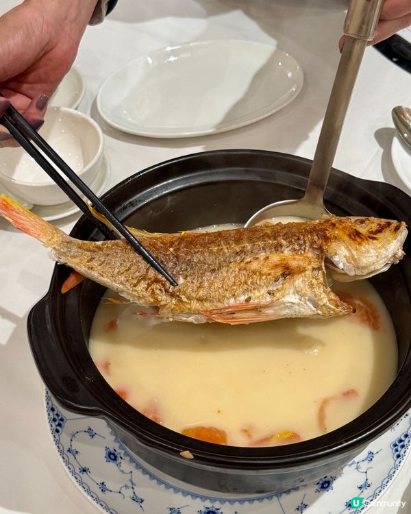 經典港式味道粵菜館🇭🇰🥢