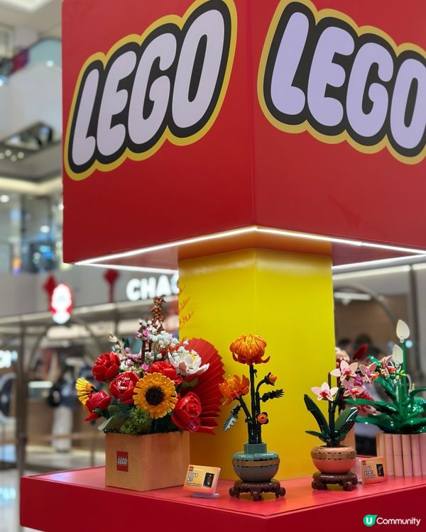 LEGO 駿藝樂園齊賀歲！🐂🖼️