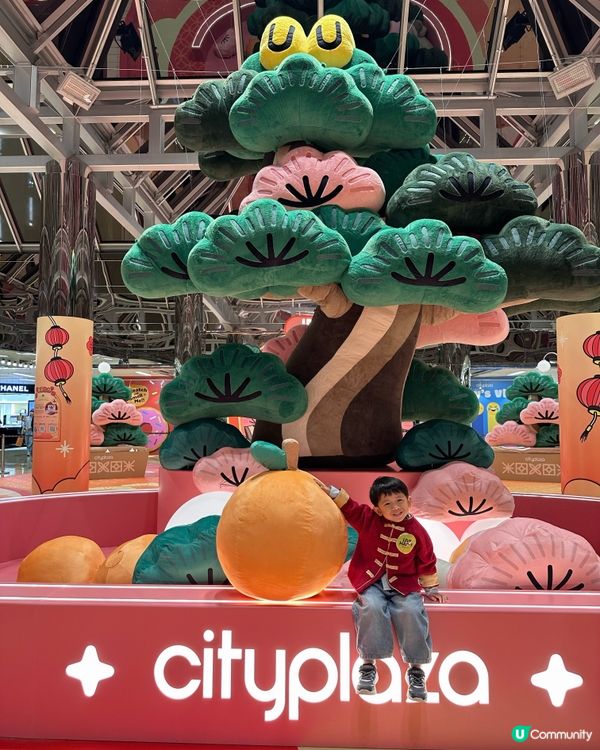 福運松林🐲抱抱招財！💰