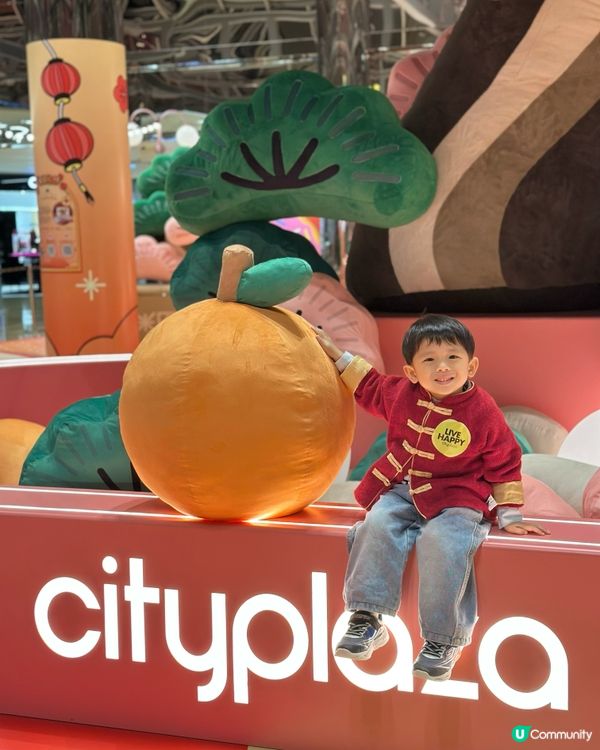 福運松林🐲抱抱招財！💰