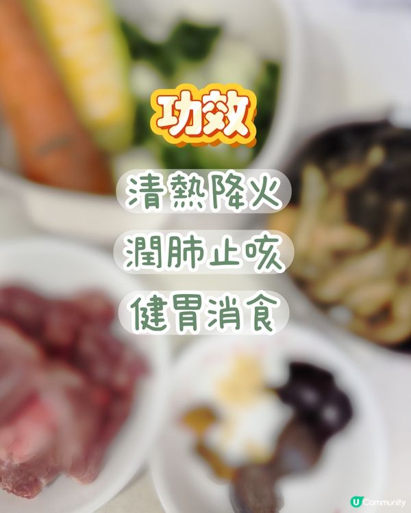 見字煲湯🍲 金銀菜陳腎豬骨湯