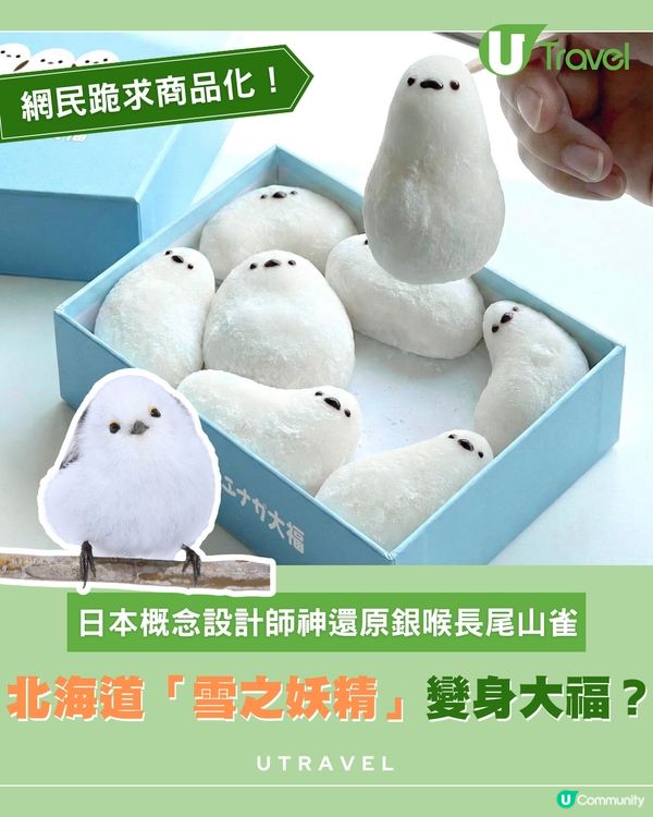 日本銀喉長尾山雀變身大福？                                    