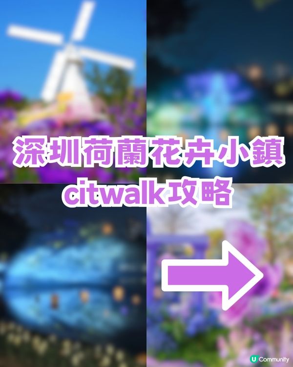 深圳南山區荷蘭花卉小鎮Citywalk攻略！期間限定免費水幕秀