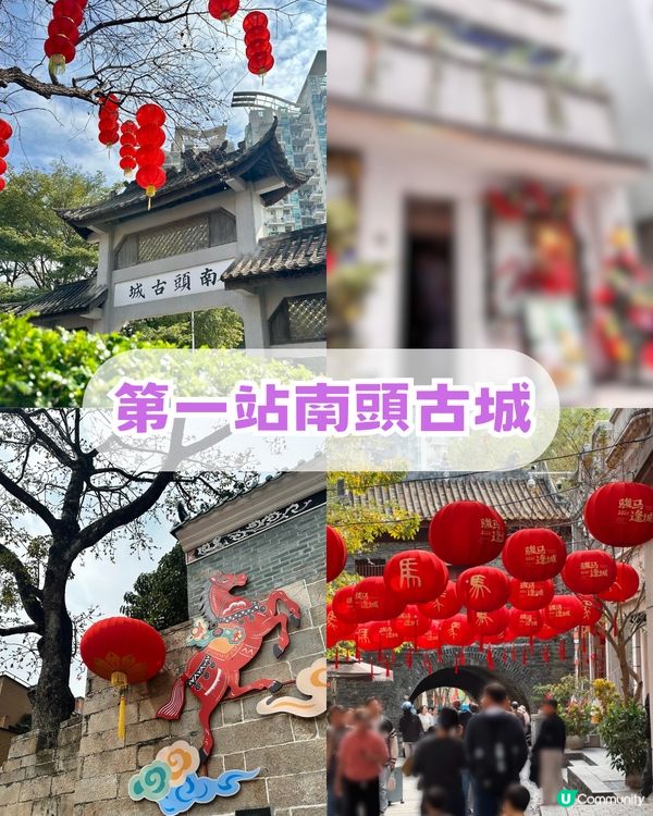 深圳南山區荷蘭花卉小鎮Citywalk攻略！期間限定免費水幕秀