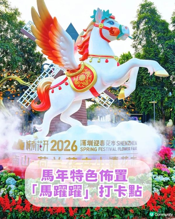 深圳南山區荷蘭花卉小鎮Citywalk攻略！期間限定免費水幕秀