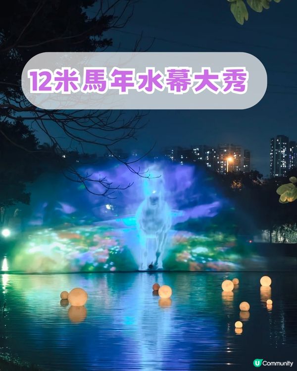 深圳南山區荷蘭花卉小鎮Citywalk攻略！期間限定免費水幕秀