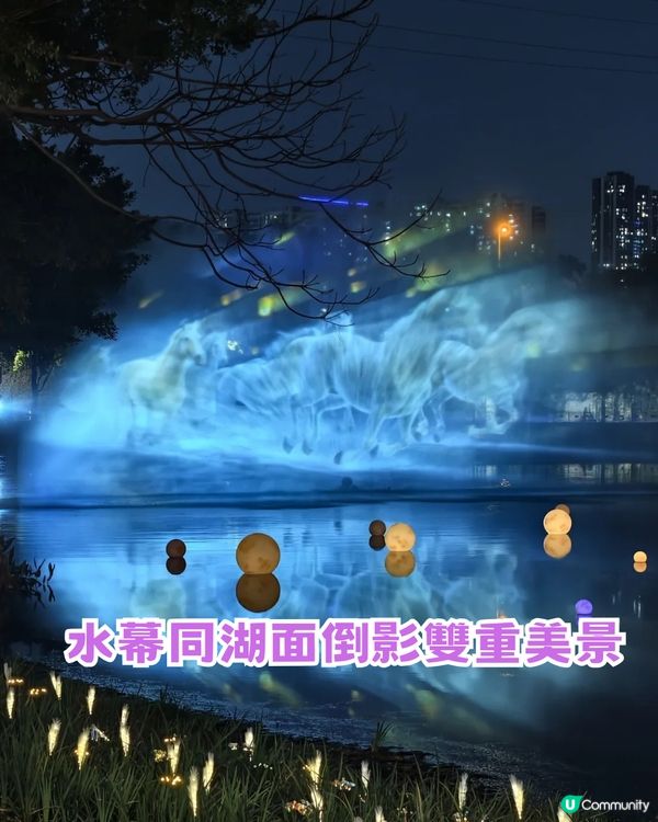 深圳南山區荷蘭花卉小鎮Citywalk攻略！期間限定免費水幕秀