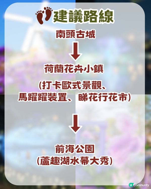 深圳南山區荷蘭花卉小鎮Citywalk攻略！期間限定免費水幕秀
