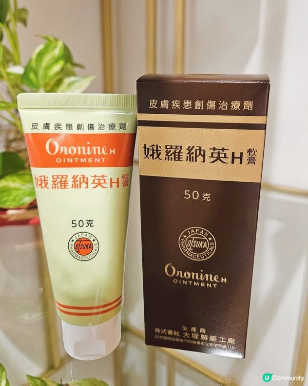 屋企養咗新貓貓丁丁，每日同佢玩已經變咗我最治癒嘅時光 🐈。不...