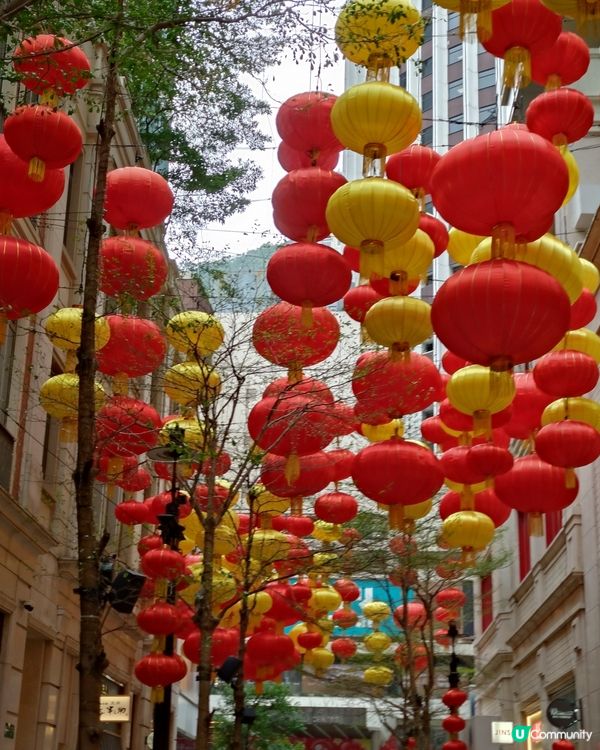 新春燈籠海重現🏮華燈高高掛