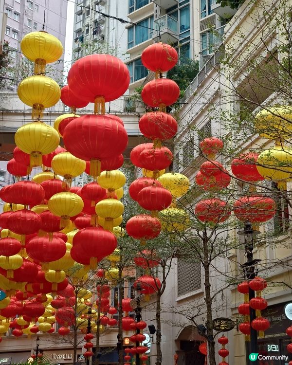 新春燈籠海重現🏮華燈高高掛