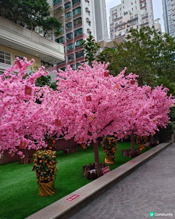 新春燈籠海重現🏮華燈高高掛