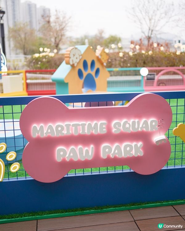 巨大化豬仔錢罌🐷💰!!!