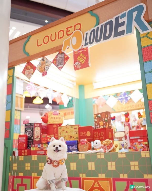 巨大化豬仔錢罌🐷💰!!!