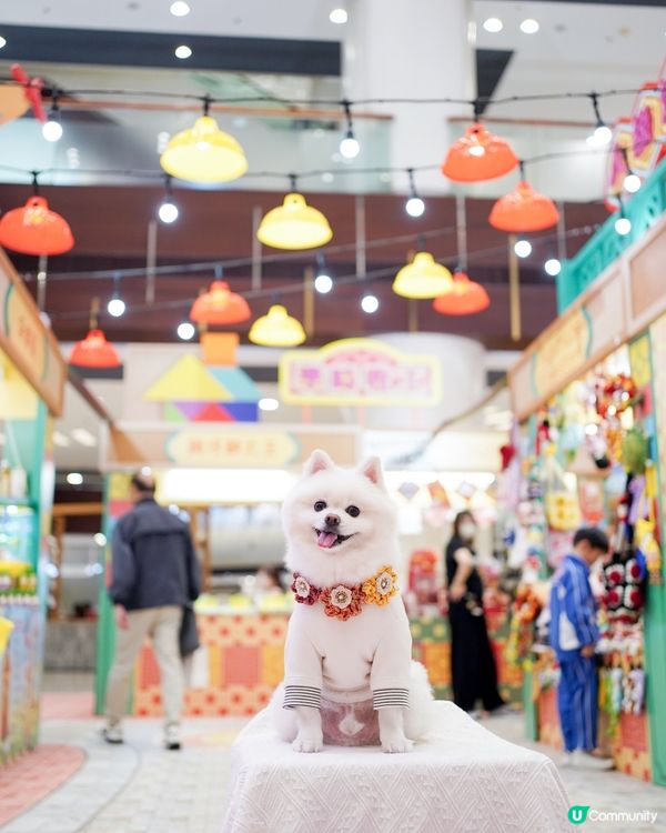 巨大化豬仔錢罌🐷💰!!!