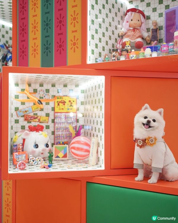 巨大化豬仔錢罌🐷💰!!!