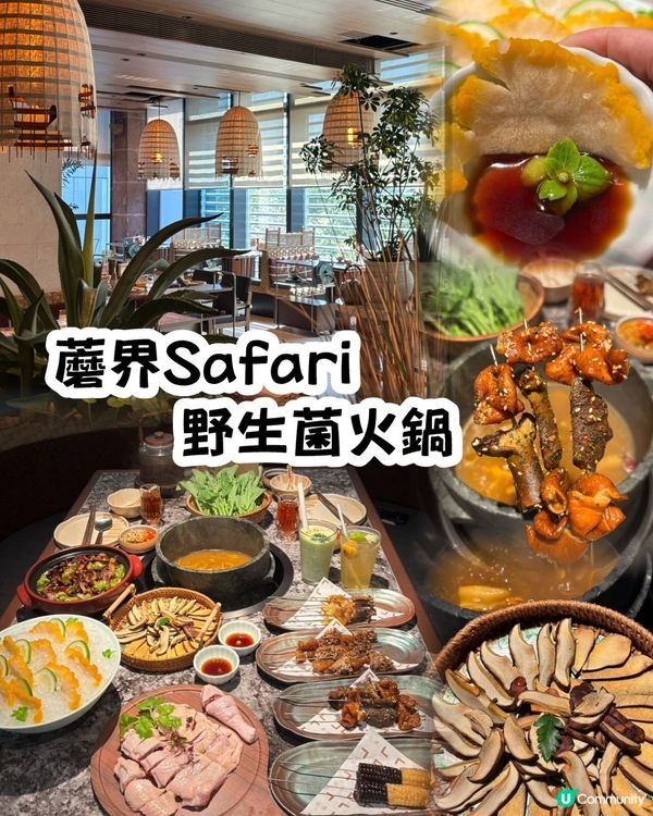 野生菌愛好者不能錯過!蘑界野生菌石鍋