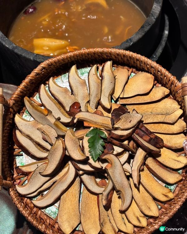 野生菌愛好者不能錯過!蘑界野生菌石鍋