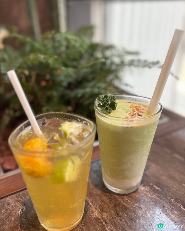 野生菌愛好者不能錯過!蘑界野生菌石鍋