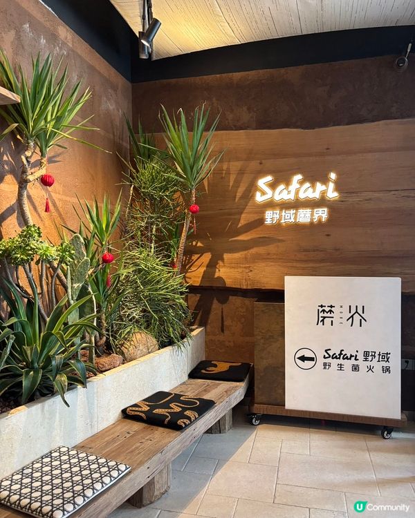 野生菌愛好者不能錯過!蘑界野生菌石鍋