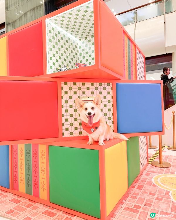 青衣城【童遊時光新春市集】