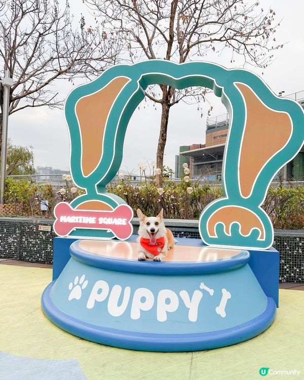 青衣城【童遊時光新春市集】