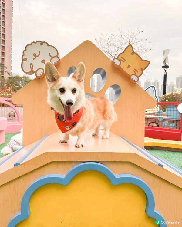 青衣城【童遊時光新春市集】