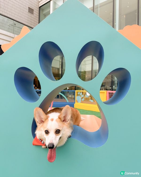 青衣城【童遊時光新春市集】