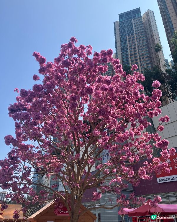 萬馬奔騰賀新歲 🐴✨