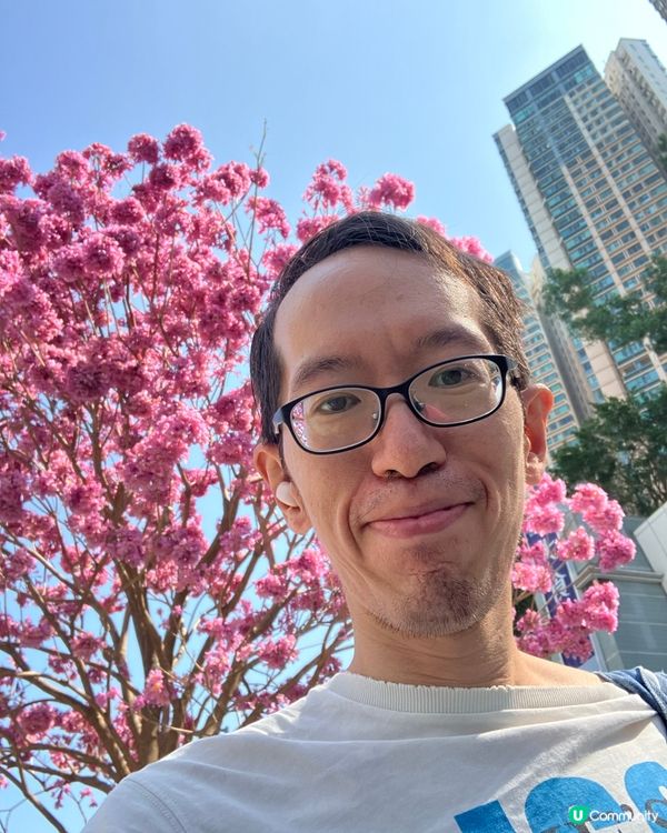 萬馬奔騰賀新歲 🐴✨