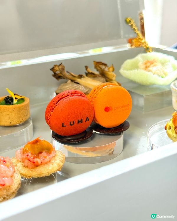 👑 1881 LUMA|皇室貴族感古著下午茶