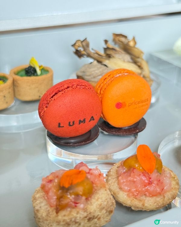👑 1881 LUMA|皇室貴族感古著下午茶