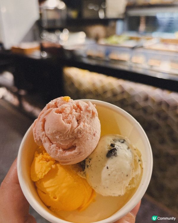 朋友話打邊爐？尖沙咀熊本激抵！🐮🔥