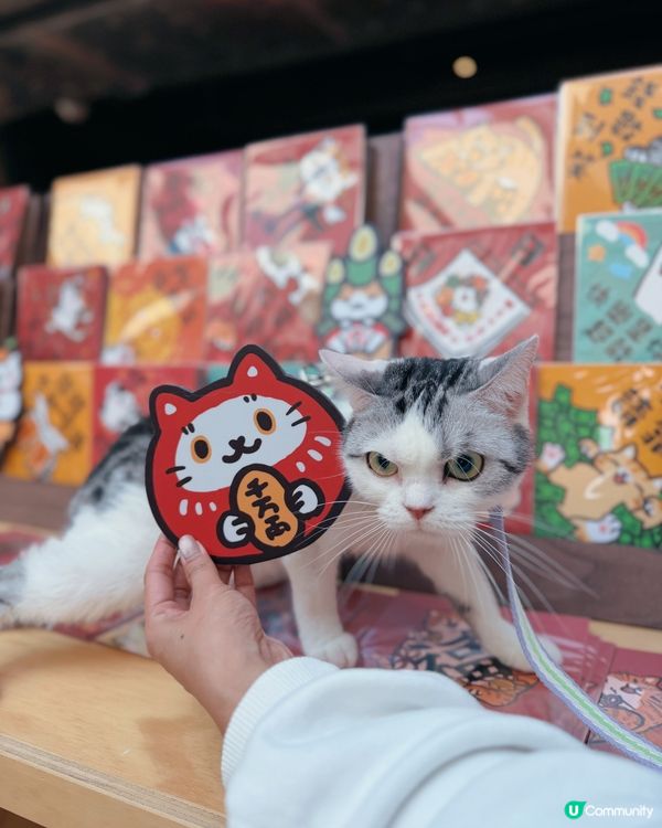 🐶台灣來了人竉市集🐱