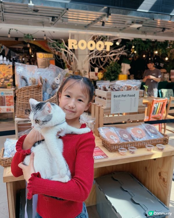🐶台灣來了人竉市集🐱